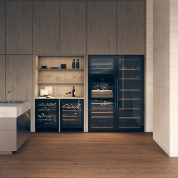 ASKO CANTINA professional glass door WCN25842G two temperatures