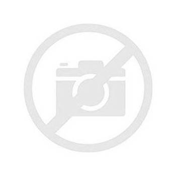 Baraldi Filterset für Diamond-Serie 02KITFILDIA EAN 8054382481102